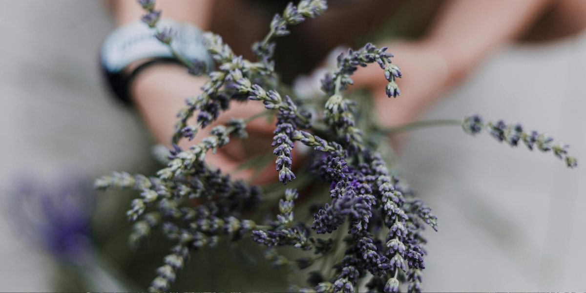 The Benefits of Adding Aromatherapy to Your Shower