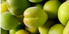 What Is Kakadu Plum? A Deep Dive Into Its Skincare Benefits