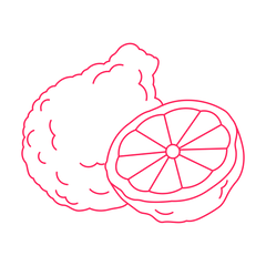 Bergamot