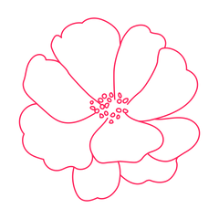 Orange Flower
